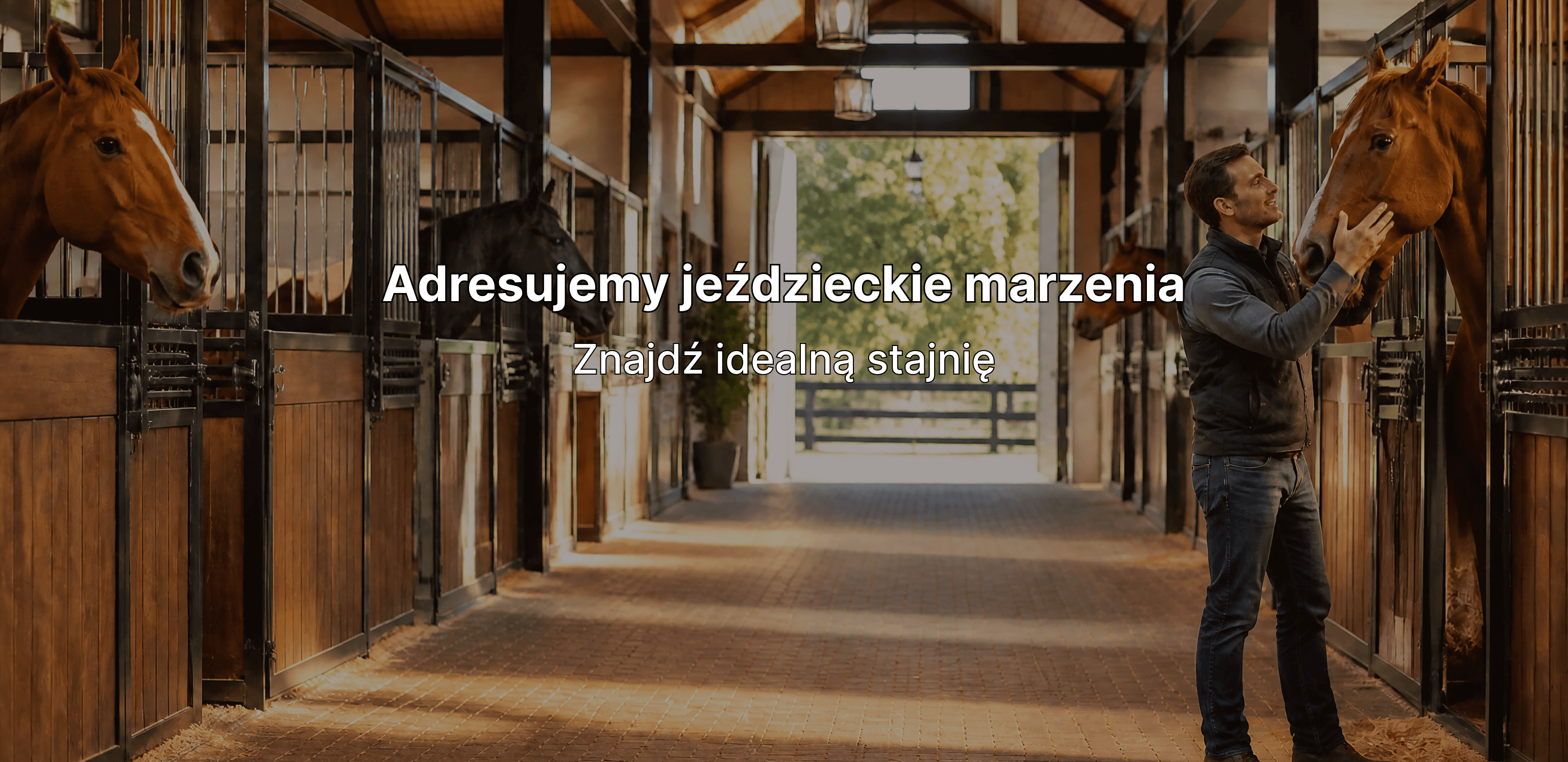 Wyszukuj stajnie, przeglądaj oferty pracy i rozwijaj swój ośrodek. Zaloguj się, aby uzyskać pełen dostęp do funkcji portalu i dodać własny obiekt.